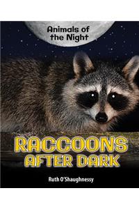 Raccoons After Dark