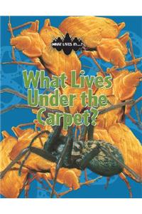 What Lives Under the Carpet?