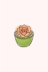 Pink Succulent Notebook