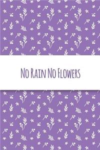 No Rain No Flowers