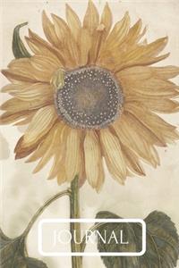 Journal