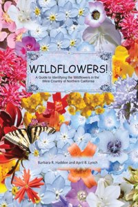 WILDFLOWERS! A Guide to Identifying the Wildflowers of Northern California's Wine Country
