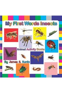 My First Words Insects