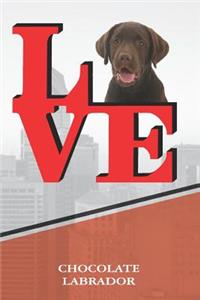 Chocolate Lab