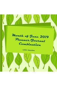 Month of June 2019 Planner/Journal Combination
