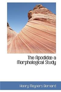 The Apodid a Morphological Study
