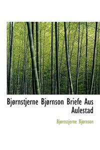 Bjornstjerne Bjornson Briefe Aus Aulestad