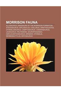 Morrison Fauna: Allosaurus, Dinosaurs of the Morrison Formation, Stegosaurus, Diplodocus, Coelurus, Ornitholestes, Othnielosaurus, Cam