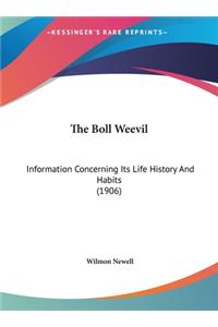 The Boll Weevil