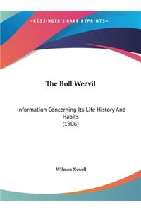 The Boll Weevil