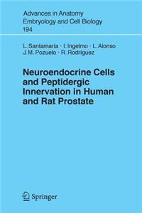 Neuroendocrine Cells and Peptidergic Innervation in Human and Rat Prostrate