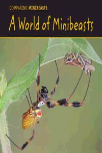 A World of Minibeasts