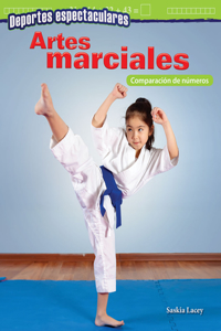 Deportes espectaculares: Artes marciales
