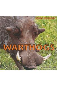 Warthogs