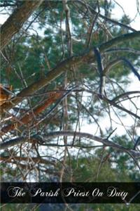 The Parish Priest On Duty