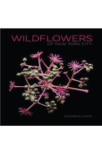 Wildflowers of New York City