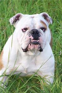 The Bulldog Dog Journal