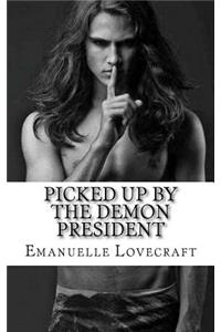 Picked Up by the Demon President