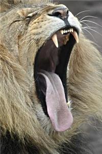 African Lion Yawn - Open Up and Say Ahhh! Journal