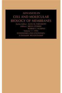 Endosomes and Lysosomes: A Dynamic Relationship
