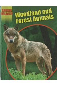 Woodland and Forest Animals