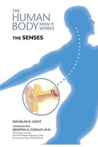 The Senses