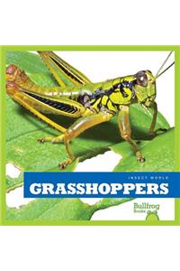 Grasshoppers