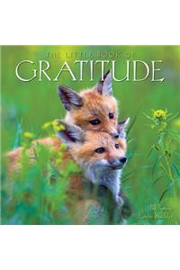 Gratitude