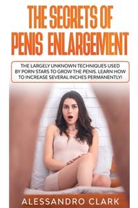 The Secrets of Penis Enlargement