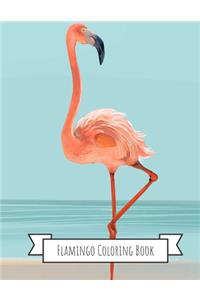 Flamingo Coloring Book