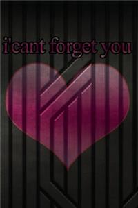 i'cant forget you