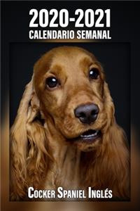 2020-2021 Calendario Semanal Cocker Spaniel Inglés