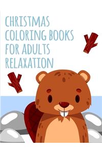 Christmas Coloring Books For Adults Relaxation