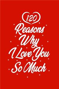 120 Reasons Why I Love You So Much