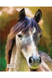 Weekly & Monthly Planner