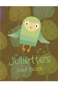 Juliette's Owl Book