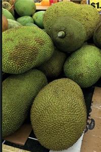 Jackfruit Tree