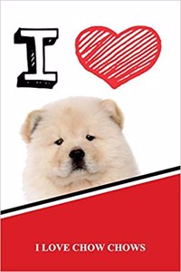 Chow Chows