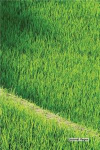 Journal Pages - Green Grass (Bullet Journal)