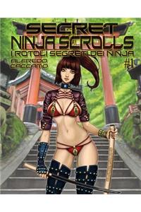 Secret Ninja Scrolls
