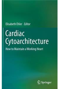 Cardiac Cytoarchitecture