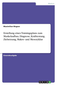 Erstellung eines Trainingsplans zum Muskelaufbau. Diagnose, Krafttestung, Zielsetzung, Makro- und Mesozyklus