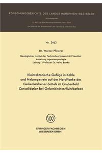 Kleintektonische Gefüge in Kohle und Nebengestein auf der Nordflanke des Gelsenkirchener-Sattels im Grubenfeld Consolidation bei Gelsenkirchen/Ruhrkarbon