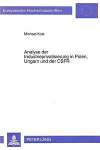Analyse der Industrieprivatisierung in Polen, Ungarn und der CSFR