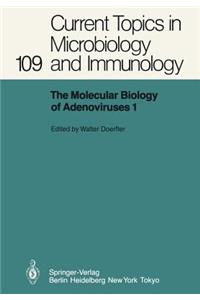 Molecular Biology of Adenoviruses I