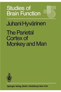 Parietal Cortex of Monkey and Man