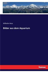 Bilder aus dem Aquarium