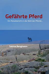 Gefährte Pferd