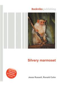 Silvery Marmoset