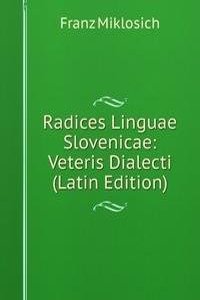 Radices Linguae Slovenicae: Veteris Dialecti (Latin Edition)